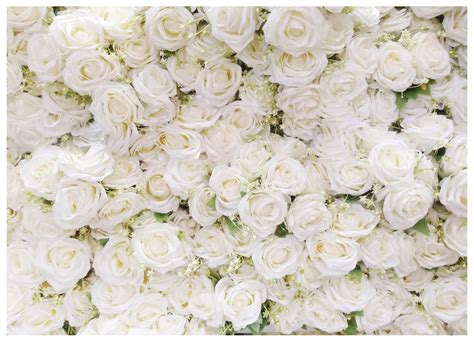Buy Aiikes 8x6ft Flower Wall Backdrop White Rose Wedding Flower Wall