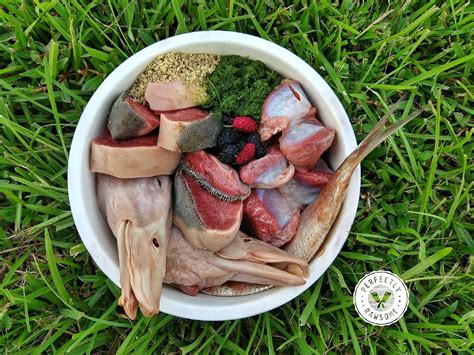 Walkerville vet recommends the best of both worlds. Custom Raw Feeding Meal Plan For Puppies & Adult Dogs ...