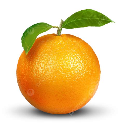 Orange Fruit Png Vector Psd And Clipart With Transparent Background