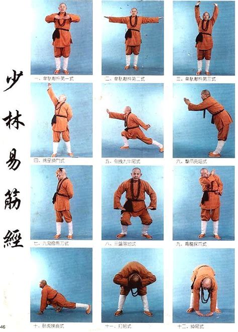 Yi Jin Jing Kung Fu Martial Arts Tai Chi Exercise Tai Chi Qigong