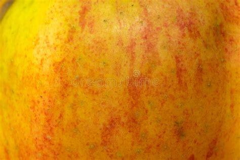 726 Red Apple Skin Texture Stock Photos Free And Royalty Free Stock