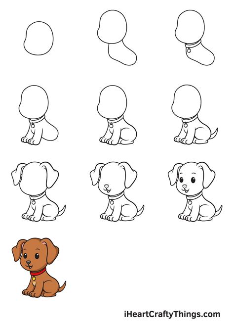 How To Draw A Cartoon Dog With Different Poses And Shapes For Each