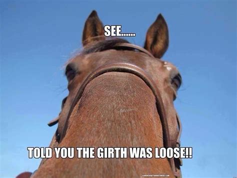 Horsey Quotes Funny Horse Memes Horse Quotes Funny Horse Quotes