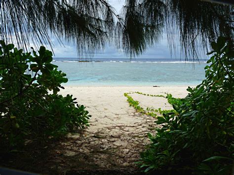 Free Picture Ritidian Beach Trees Guam National Park