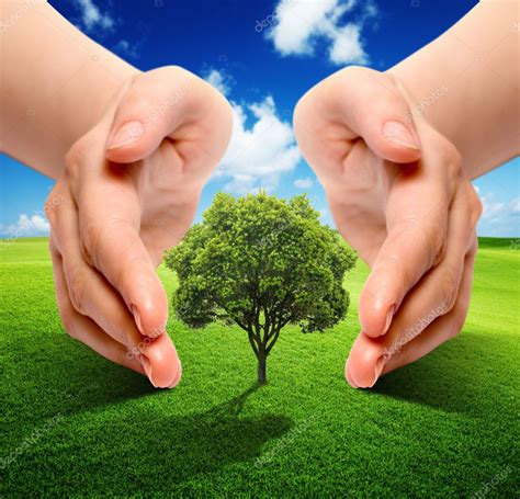 Earth Ecology ⬇ Stock Photo Image By © Fraeje 8058629