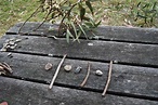 A Little Learning For Two: Sequencing With Sticks & Stones