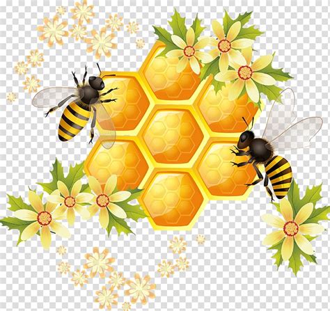 Honeycomb Bee Cartoon Clip Art Images And Photos Finder