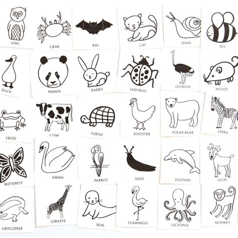 Animal Charades Game For Kids 48 Hand Drawn Animal Pictures Etsy