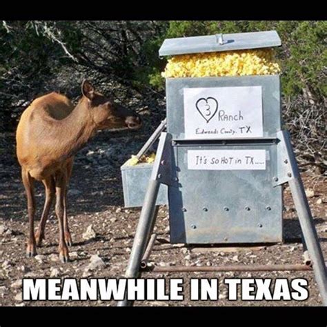 How Hot Is It With Images Texas Humor Fun Facts About Texas