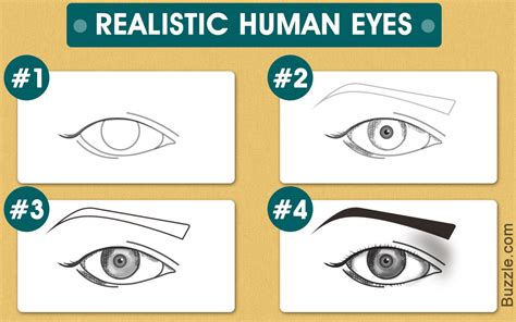 Drawing eyes can be a challenge because the proportions and shapes of the eye are so unique. How to Draw Lively Human Eyes - An Easy Step-by-step ...