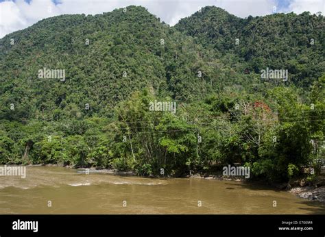 El río Huallaga en el parque nacional de Tingo María departamento de
