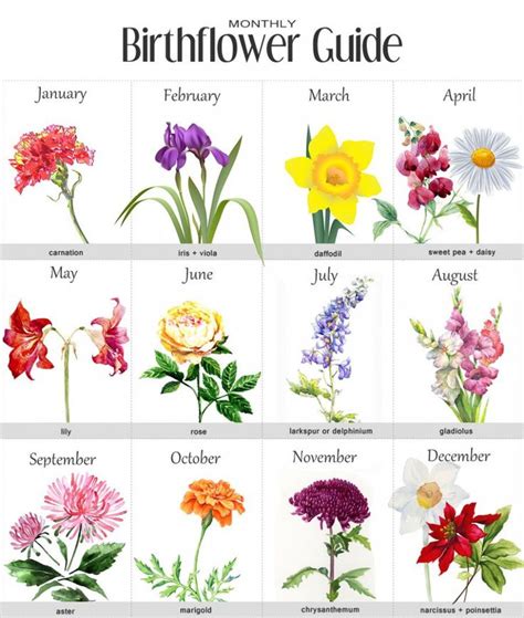 Birth Flowers By Month Flowers Art Ideaspagesdev