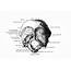 Occipital Lobe Stock Illustration  Download Image Now IStock