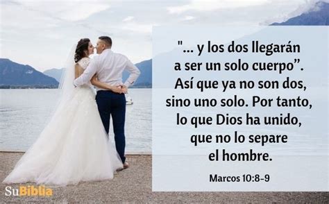 Versículos Bíblicos Sobre El Amor 93 Citas De Amor Su Biblia