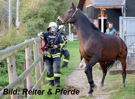 Feuerwehreinsätze ist eine flektierte form von feuerwehreinsatz. Feuerwehreinsätze auf Reitanlagen - Brand-Feuer.de