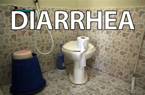 Diarrhea Toilet Travelguide Marrakech