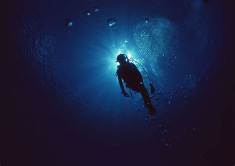 54 Scuba Diving Wallpapers On Wallpaperplay