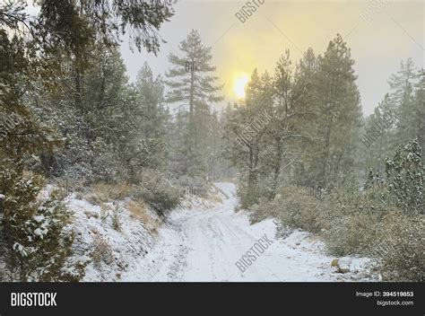 Snow Covered Dirt Road Image And Photo Free Trial Bigstock