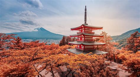 Autumn Leaves In Japan 2023 Gaijinpot Travel