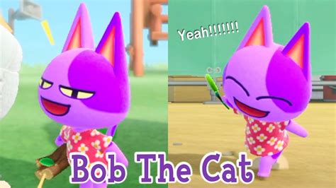 Bob The Cat 01 Lazy Villager Animal Crossing New Horizons Acnh Youtube