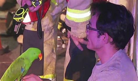 Eric The Pet Parrot Saves Owner From House Fire By Squawking His Name