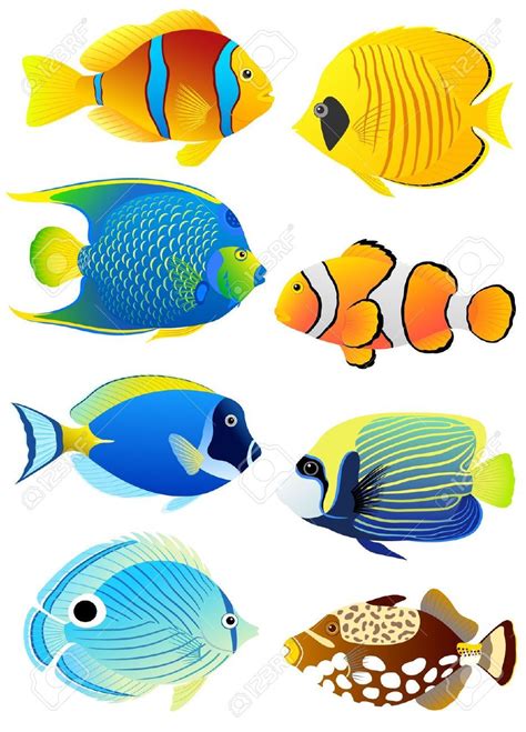 Stock Vector In 2020 Tropical Fish Pictures Tropical