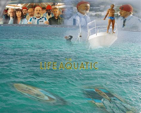 47 Life Aquatic Wallpaper On Wallpapersafari