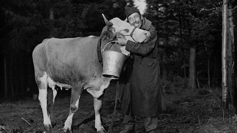 Qu'est Devenue Marguerite La Vache Et Le Prisonnier - Fernandel et Margueritte dans "La Vache et le Prisonnier" | Flickr