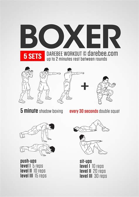 Boxing Workout No Weights In 2020 Boxer Workout Boxing Training Workout Home Boxing Workout