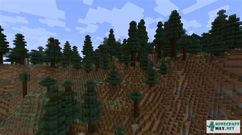 Giant Spruce Taiga How To Craft Giant Spruce Taiga In Minecraft