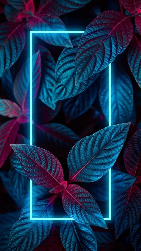 Paper Walls Neon Plants Galaxy Wallpaper Iphone Arkaplanları Soyut