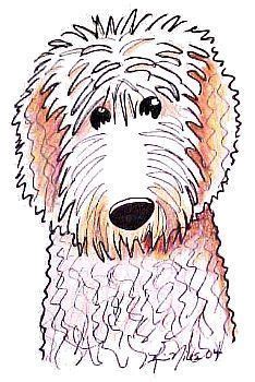 A mini goldendoodle is an intelligent, friendly dog that will quickly become a beloved member of your family. VALENTINE BOVINE | Labradoodle art, Labradoodle drawing, Dog art
