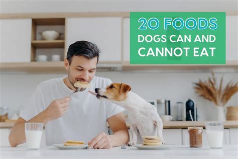 20 Foods Your Dog Can And Cant Eat Printable Pdf Pupford