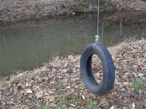 Tire Swing Free Photo Download Freeimages