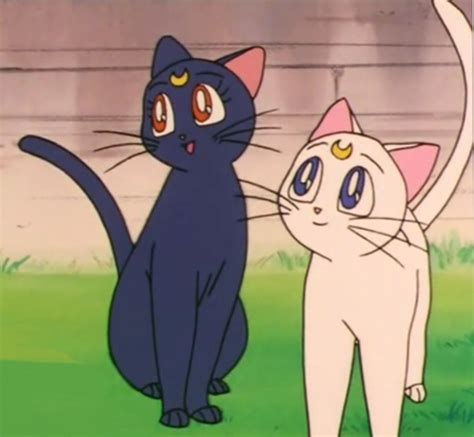 Usagi Sailor Moon Anime Quick Cartoon Movies Anime Music Sailor