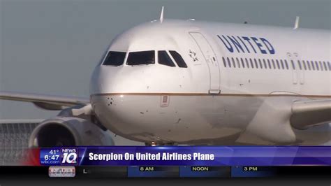 United Airlines Passenger Stung By Scorpion That Fell From Overhead Bin