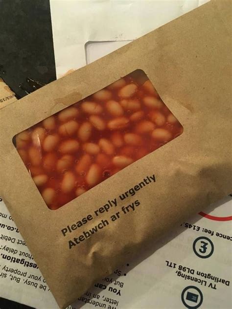50 Beans Memes That Will Make You Laugh