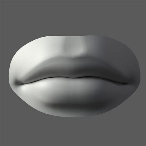 Lip Male 3d Model Cgtrader