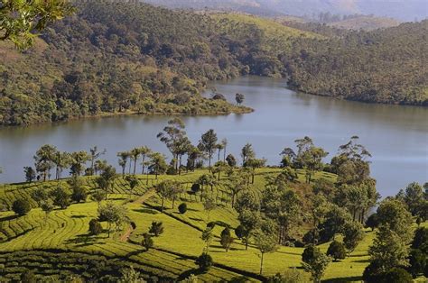 Enchanted Land Of South India The Periyar Wildlife Sanctuary Of