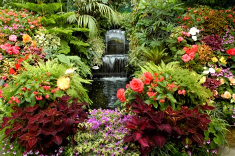 A Vibrant Floral Outdoor Garden Stock Photo Download Image Now Istock