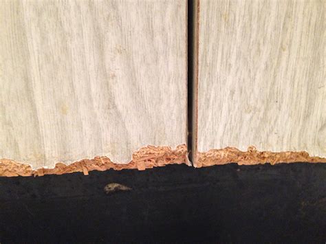 We did not find results for: doors - How to repair (or hide) chipped kitchen cabinets ...
