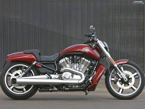 Harley Davidson V Rod Muscle Right Side Motorbikes Wallpapers