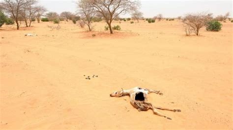 What Can Be Done In The Drought Stricken Sahel Environment Al Jazeera