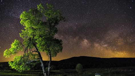 Tree And Starlight Landscape Night Image Free Stock