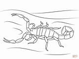 Scorpion Coloring Bark Scorpions Striped Printable Drawing Fresh Tarantulas Drawings Popular sketch template