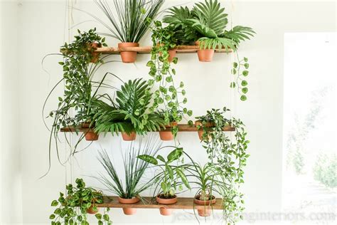 How To Build Indoor Vertical Garden