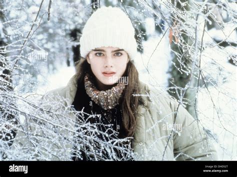 Brooke Shields Endless Love Hi Res Stock Photography And Images Alamy