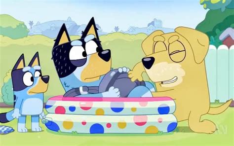 Ok Not Sure If Anyone Brought This Up But What’s The Deal W Bandit And His Neighbor Lucky’s