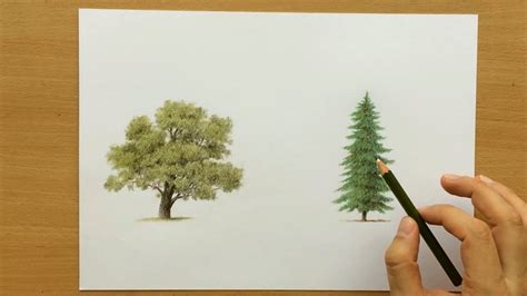 How To Draw Trees With Colored Pencils Drawing Tutorial Youtube