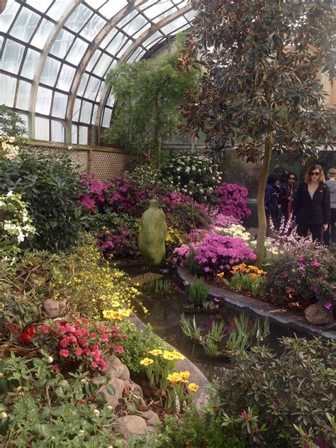 Read 6 reviews, get contact details, photos, opening times and map directions. Lincoln Park Conservatory | Lincoln park conservatory